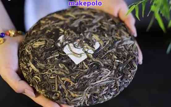 普洱茶饼定制与选购指南 从种植到茶饼的专业推荐